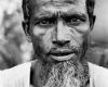 Operation Rohingya Operation Rohingya