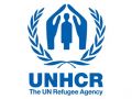 وكالة الأمم المتحدة للاجئين تدعو بنغلاديش إلى فتح حدودها أمام اللاجئين الروهينجا