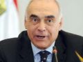 وزير خارجية مصر يتوجه إلى جدة للمشاركة في اجتماع لجنة مسلمي الروهنجيا