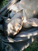 الجيش البورمي يتحدى الضغوط الدولية ويطلق الرصاص على مئات الروهنجيا