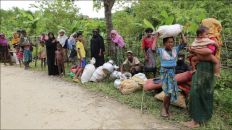 الأمم المتحدة: ارتفاع عدد الفارين من أراكان لبنغلاديش إلى 73 ألفا