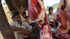 بورما: محاكمة 3 مسلمين بتهمة استيراد أبقار بطريقة غير شرعية