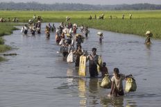 مفوضية اللاجئين: ثلث الروهينجا في بنغلاديش من الفئات الأضعف والأكثر عرضة للخطر