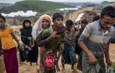 حملة الشيخة فاطمة الإنسانية تكثف مهامها لإغاثة لاجئي الروهينغا