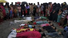 خبير أمريكي: أعمال العنف ضد الروهنغيا ترجئ الانتقال للديمقراطية بميانمار