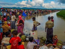 مسؤول إغاثي بنغالي: أزمة الروهنغيا أكبر كارثة من صنع الإنسان