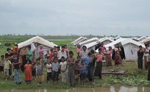 ميانمار: نازحو الروهينجا يعيشون &quot;أسوأ من الحيوانات&quot;