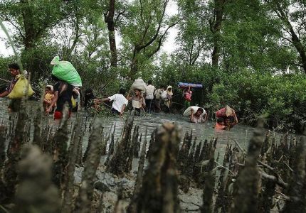 الروهنغيا يواصلون الفرار من بطش جيش ميانمار
