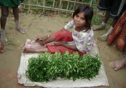 Burmese refugees face starvation in Bangladesh