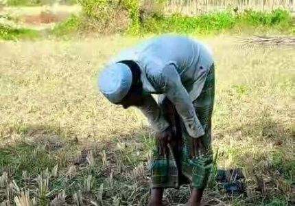 نداء للضمير العالمي ..أكبر موجة عنف ضد مسلمي &quot;الروهينجيا&quot; منذ 5 سنوات